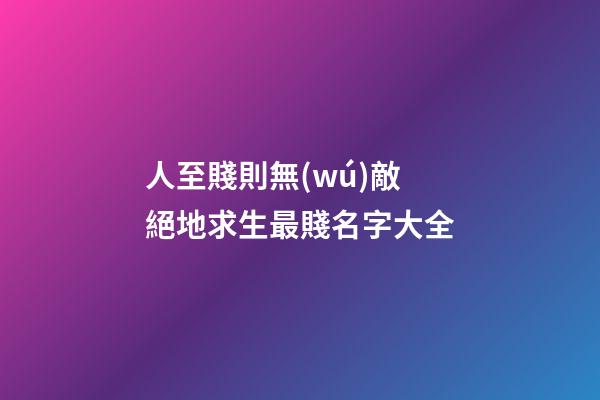 人至賤則無(wú)敵 絕地求生最賤名字大全